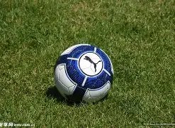 雪帅首执教,大马慈善盾,战南虎,海星体育直播在线,海星体育直播tv官网,海星体育直播app下载,海星体育直播平台