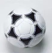 共同倡议,关爱青春,崇尚篮球精,海星体育直播在线,海星体育直播tv官网,海星体育直播app下载,海星体育直播平台