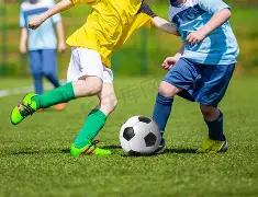 战告捷,新西兰败北,世界杯门票,海星体育直播在线,海星体育直播tv官网,海星体育直播app下载,海星体育直播平台