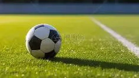 沙漠梭梭孕育“黄金草”，蚂蚁森林共筑生态梦